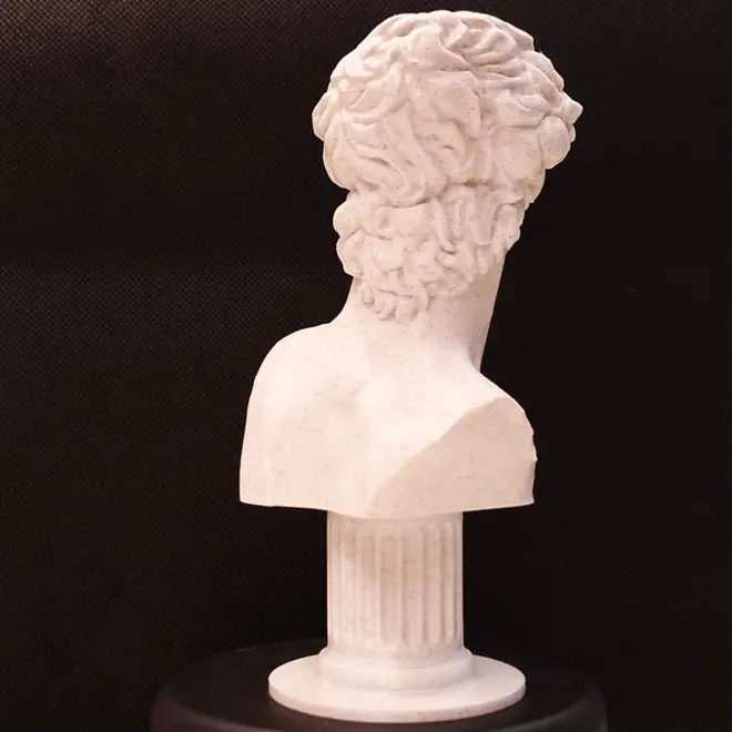 Michelangelo's David Marble Bust